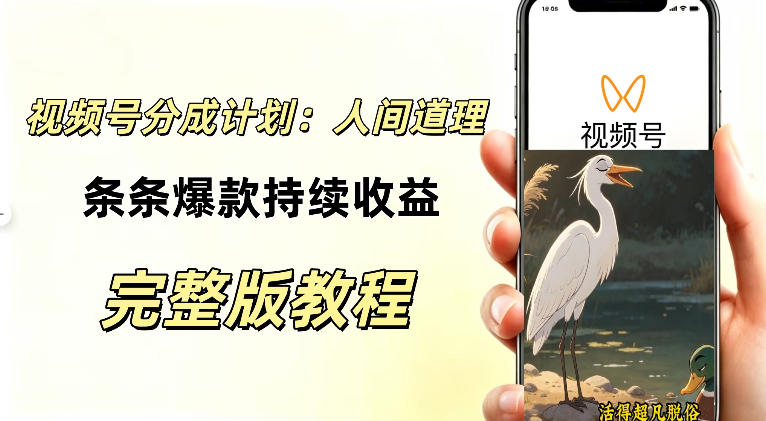 视频号新玩法之AI动漫画风励志视频，不用会画画、不用拍摄，持续化收益，详细拆解-翌晨科技网