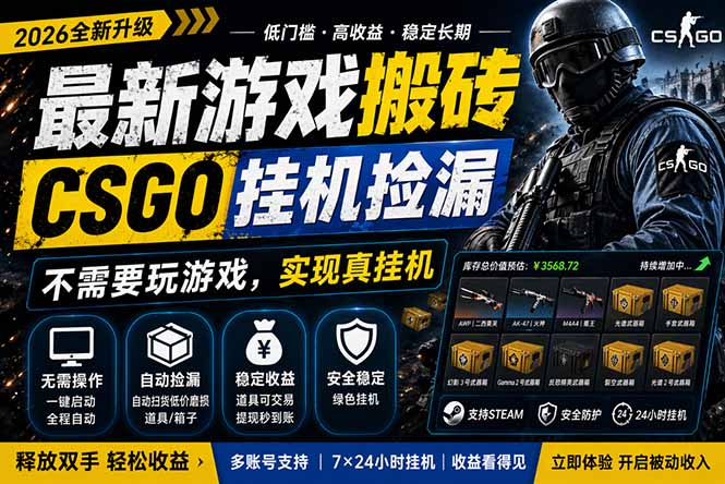 （18182期）最新游戏搬砖，CSGO纯挂机，不需要玩游戏，实现真挂机，月入1W+，五一小高峰上车可吃肉，…-翌晨科技网