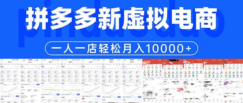(17978期)拼多多虚拟电商一人一店轻松月入10000+-翌晨科技网