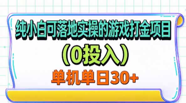 (20993期)纯小白可落地实操的游戏打金项目(0投入)单机单号30+-翌晨科技网