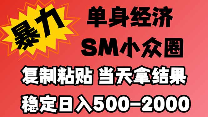 （21205期）26年 最新小众情感赛道，手机操作，十分钟见收益，小白也能当天上手，全程复制粘贴模板即可，稳定日入1k+-翌晨科技网
