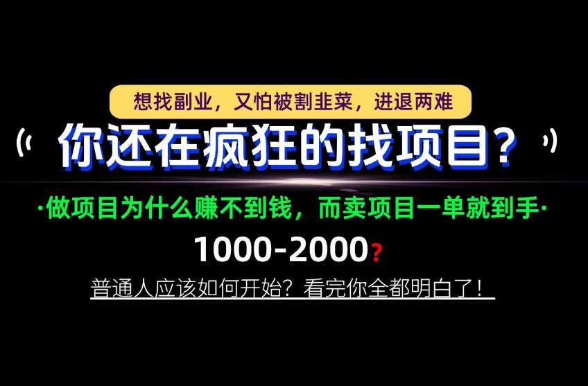 你还在疯狂的找项目？别傻了！卖项目才是真正的一本万利！怎么做，看完你全都明白！【揭秘】-翌晨科技网