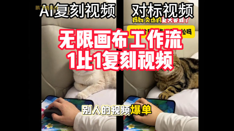 宠物带货视频复刻，无限画布工作流1比1，不用拍摄、不用布景、不用真人出镜，几分钟就能做出一条专业带货视频-翌晨科技网