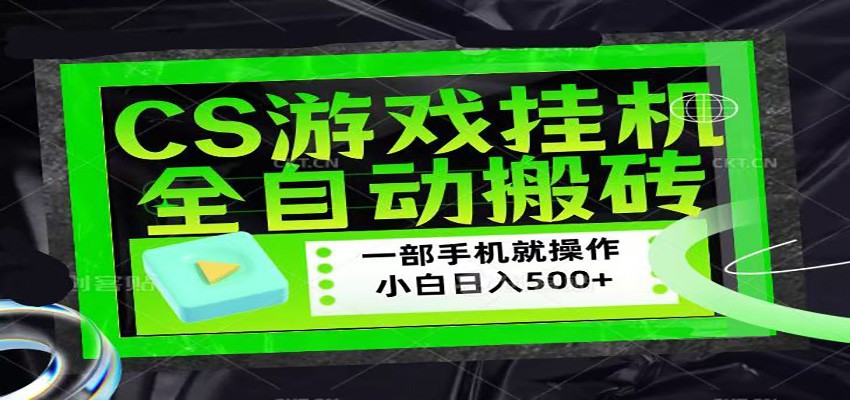 CSGO游戏挂机捡漏搬砖，超稳定的项目，带领1000+小白实现日入500+-翌晨科技网