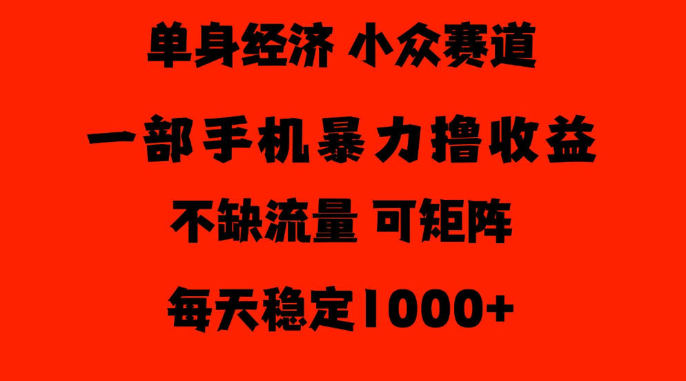 26年暴力单身经济，稳定日入500-1k，不缺流量，流量极大，冷门小众赛道，门槛低小白轻松上手【揭秘】-翌晨科技网