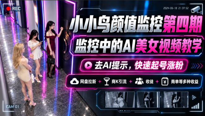 小小鸟颜值监控第四期，监控中的AI美女视频教学，去AI提示，快速起号涨粉，网盘拉新+商K引流+收徒+商单等多种收益-翌晨科技网