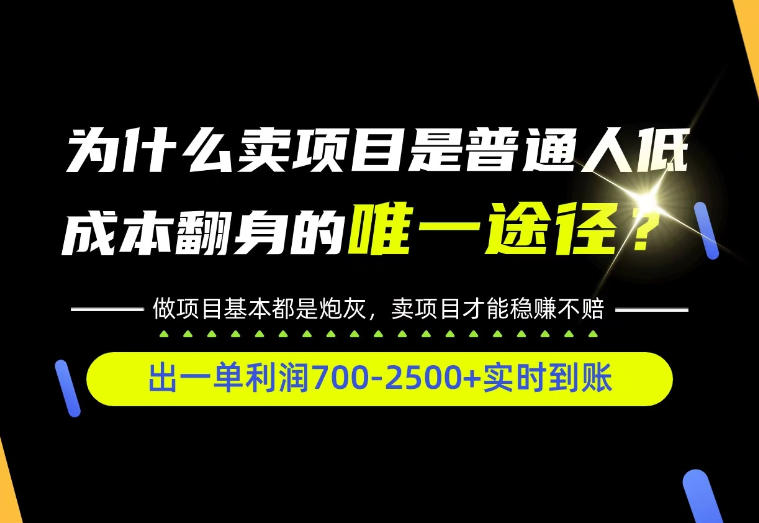 普通人如何靠互联网賺取自己的第一桶金！全类目实操型教学，看完你全都懂了！【揭秘】-翌晨科技网