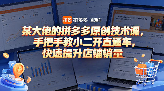 某大佬的拼多多原创技术课，手把手教小二开直通车，快速提升店铺销量-翌晨科技网